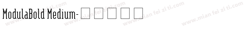 ModulaBold Medium字体转换